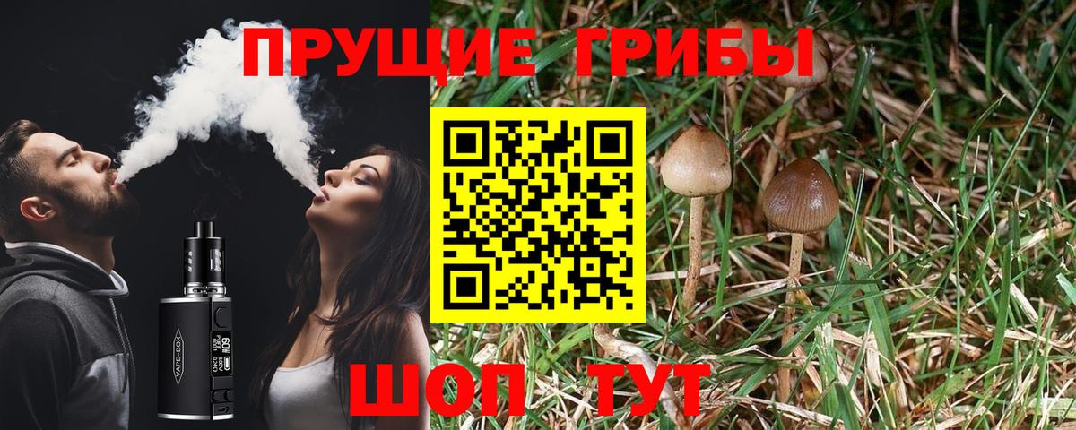 Псилоцибиновые грибы ЛСД  Вход с VPN  Галлюциногенные грибы MAGIC MUSHROOMS  Людиново 